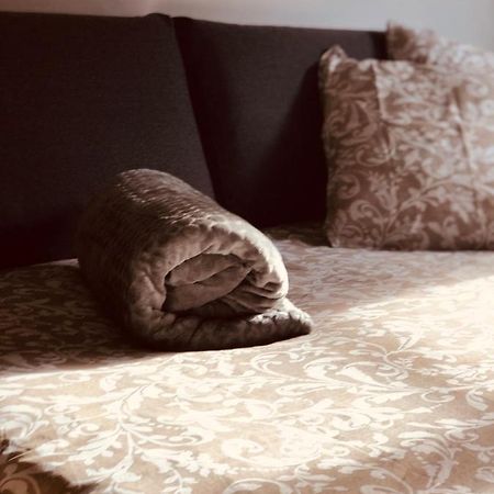 Apartament Le Petit Colmarien Hyper-Centre Zewnętrze zdjęcie