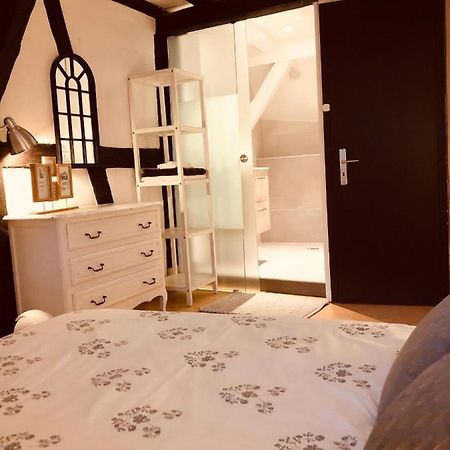 Apartament Le Petit Colmarien Hyper-Centre Zewnętrze zdjęcie