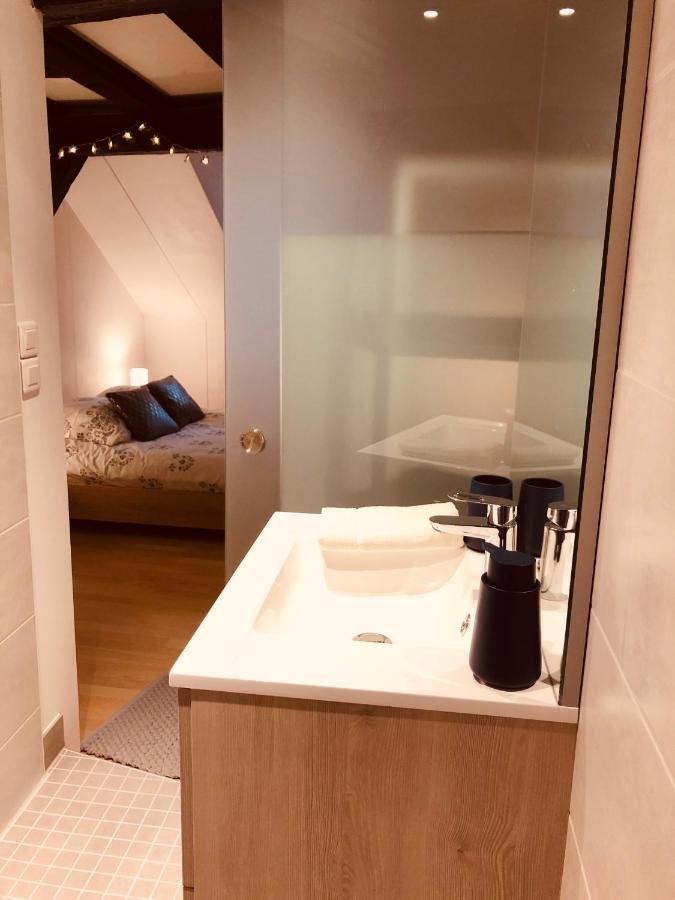 Apartament Le Petit Colmarien Hyper-Centre Zewnętrze zdjęcie