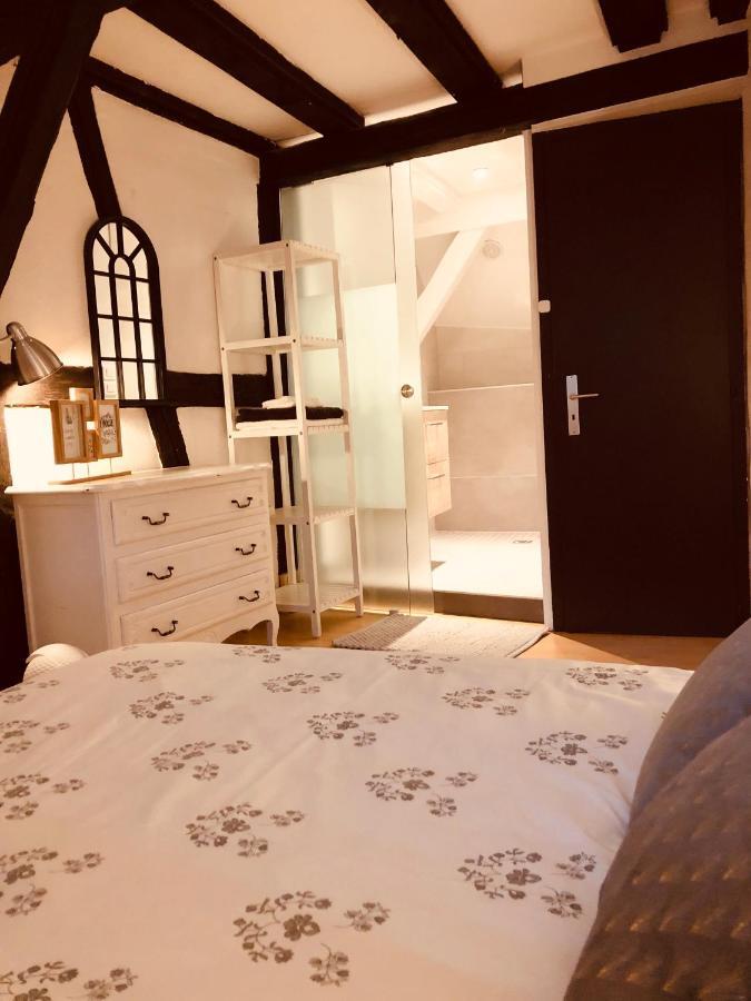 Apartament Le Petit Colmarien Hyper-Centre Zewnętrze zdjęcie
