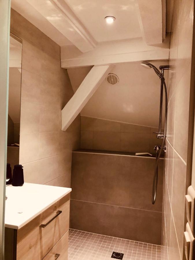 Apartament Le Petit Colmarien Hyper-Centre Zewnętrze zdjęcie